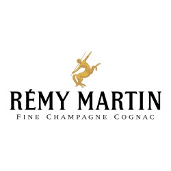Remy Martin VSOP 40º