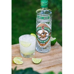 Anis Mono Seco 70cl 40º