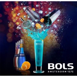 Licor Bols Melón 17º