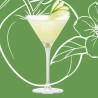 Licor Bols Sour Apple  17º