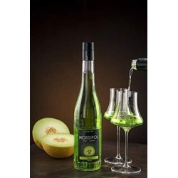 Licor Nordpol Melon 20º