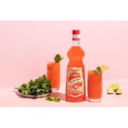 Licor Guayaba Sanz Sin Alcohol 0º