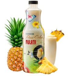 Concentrado  Piña Colada 1.5L 0º
