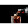 Revoltosa Cola 2L