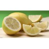 Aquarius Limon Zero botes 33cl