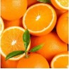 Aquarius Naranja botes 33cl