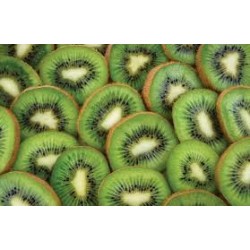 Rives Kiwi Alc 1L