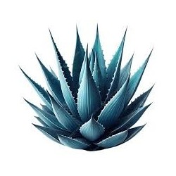 Jarabe Agave Sanz Sin Alcohol 0º