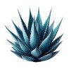 Jarabe Agave Sanz Sin Alcohol 0º