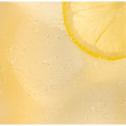 Schweppes Limon Iglu 20cl