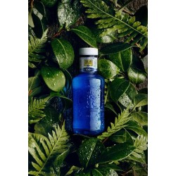 Agua Solan de cabras 50cl