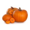 Crema de Calabaza Picante Lial 70cl