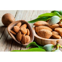 Sabores Extremeños Almendra 70cl