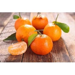 Sabores Extremeños Mandarina 70cl