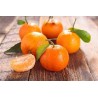 Sabores Extremeños Mandarina 70cl