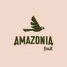 AMAZONIA FRUIT BEBIDA DE MANGO CON CHIA 450ML