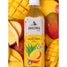 AMAZONIA FRUIT BEBIDA DE ALOE VERA SABOR MANGO 500ML