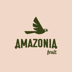 AMAZONIA FRUIT BEBIDA DE ALOE VERA SABOR MANGO 500ML