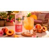 HARD ROCK COCKTAIL PEACH PUNCH  WITH WHITE RUM 250ML 5%VOL.