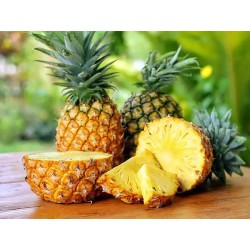 Licor de Whisky de Piña Peche